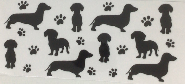 Dachshund