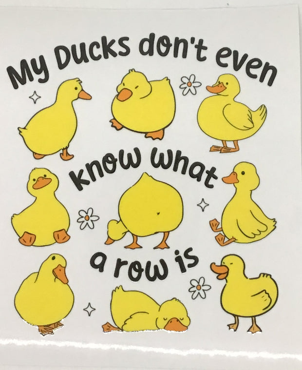 My Ducks